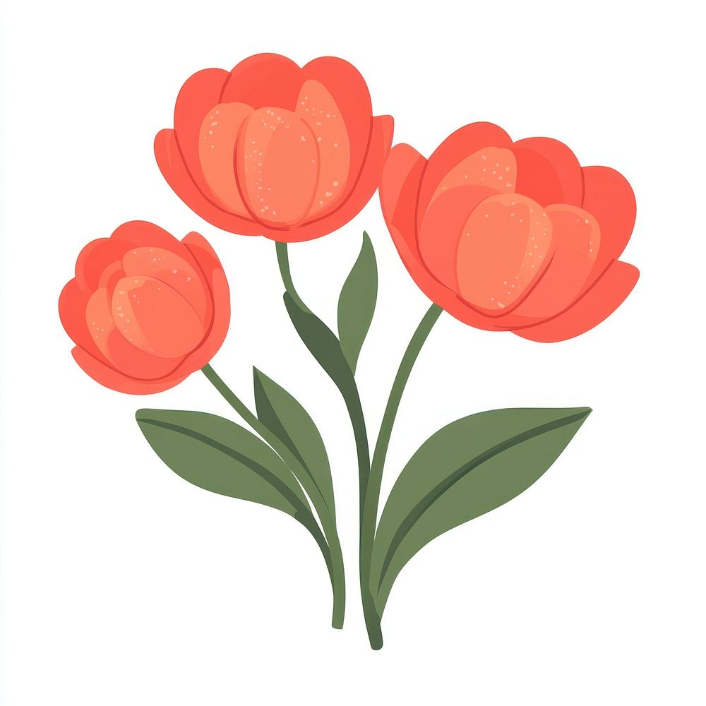 Tulip flowers illustration blossom.