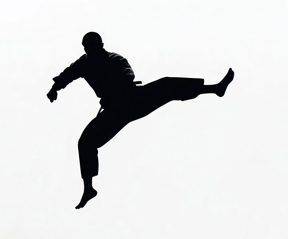 Judo silhouette kick pose.