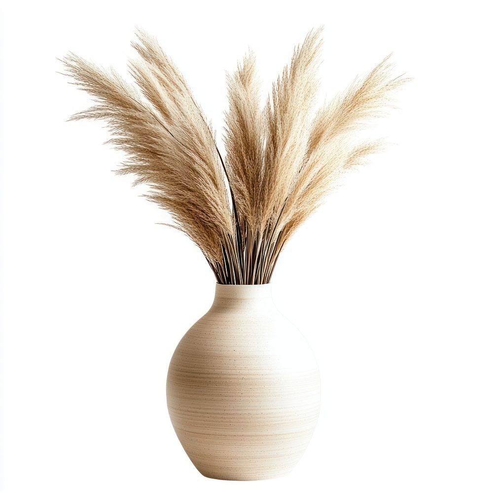 Pampas grass in a vase beige decorative minimalist.