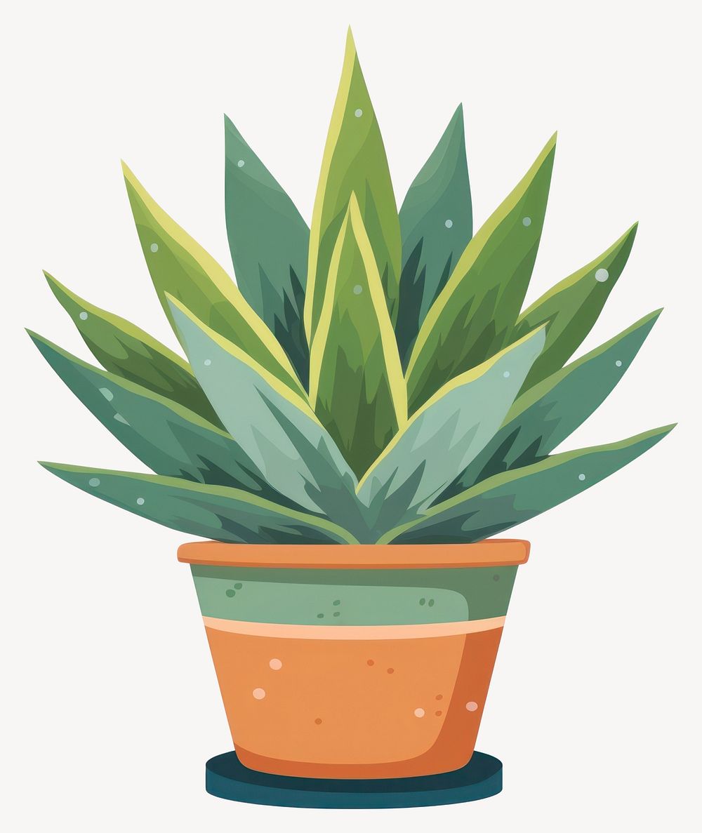 Agave plant illustration succulent vector