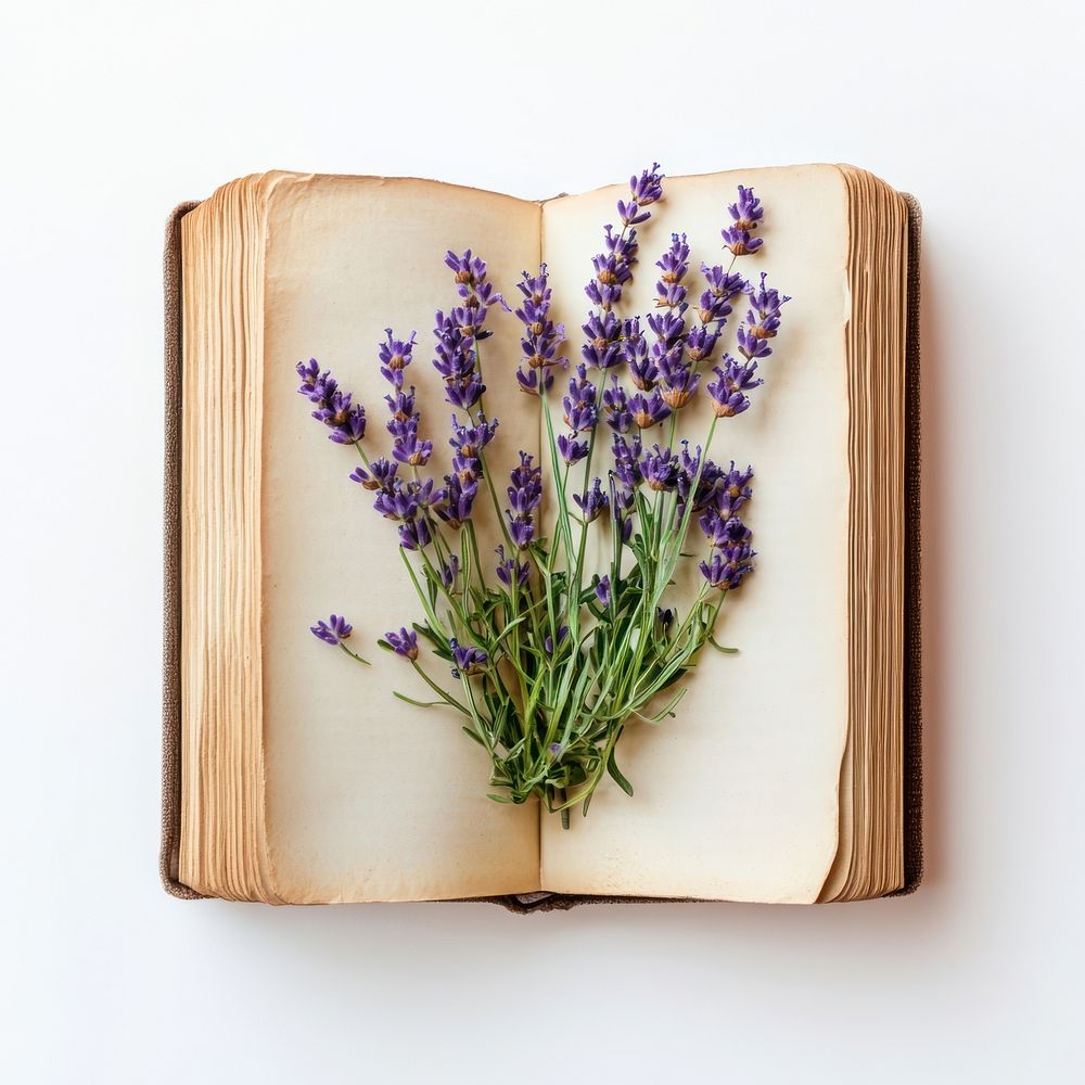 Lavender sprigs book flowers publication.