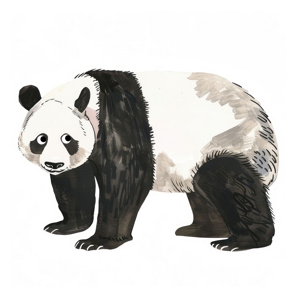 Cute panda illustration wildlife animal white.