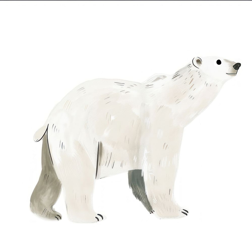 Cute polar bear illustration wildlife animal art.