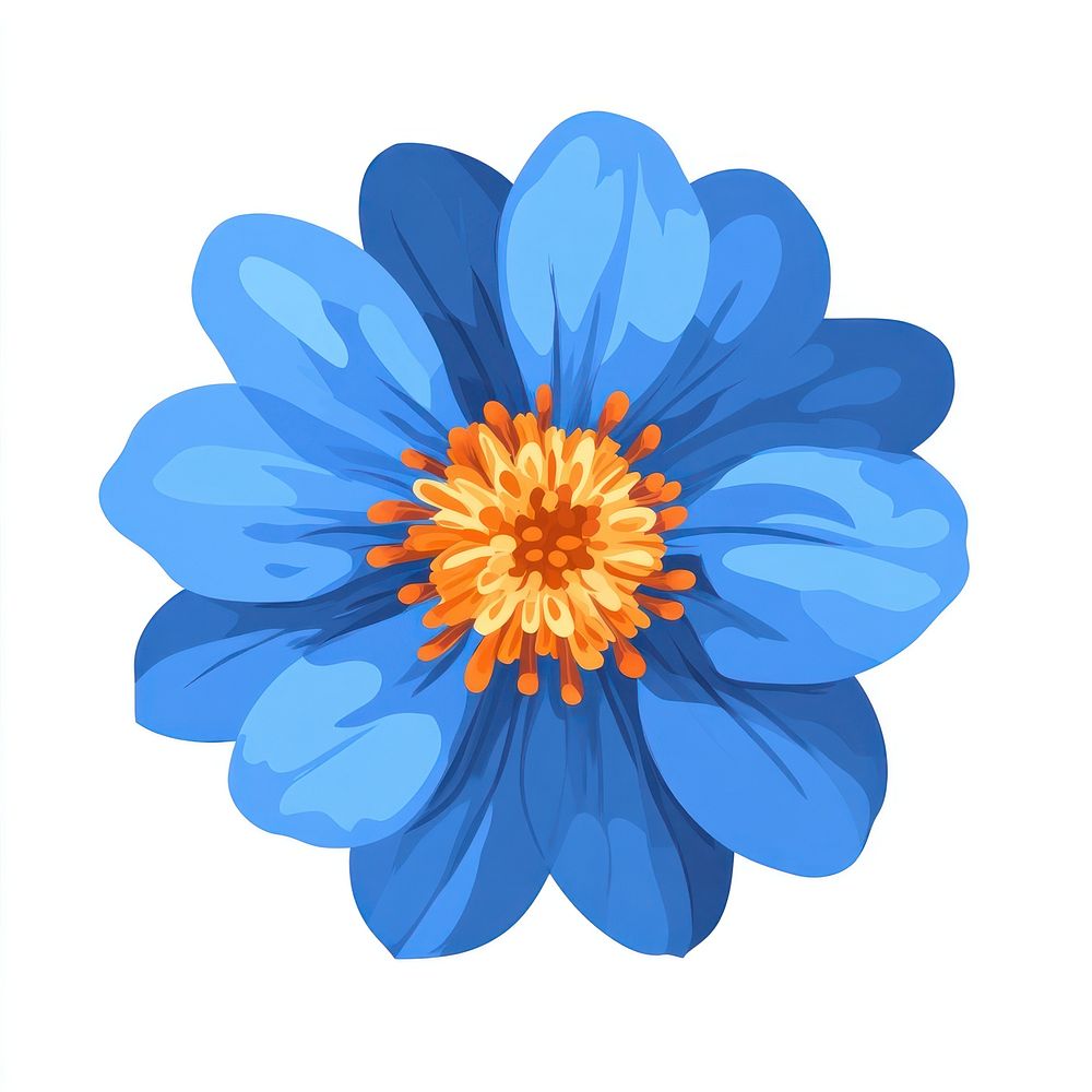 Real Blue flower illustration petals blue.