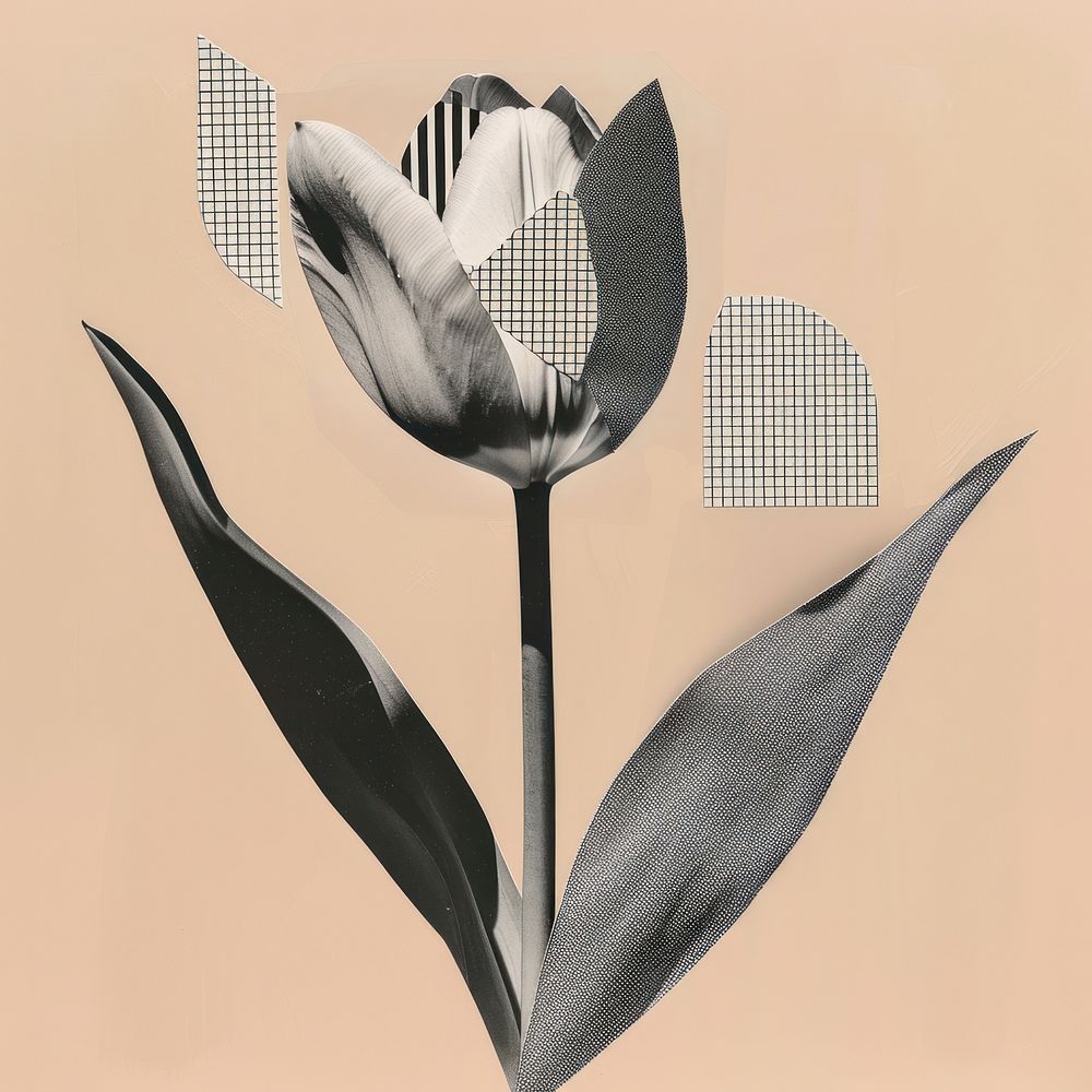 Tulip retro paper collage flower shapes black.