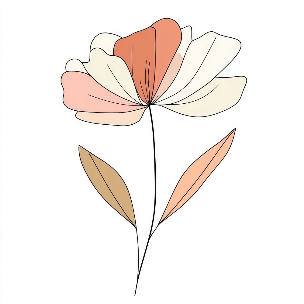 Flower drawing line art.