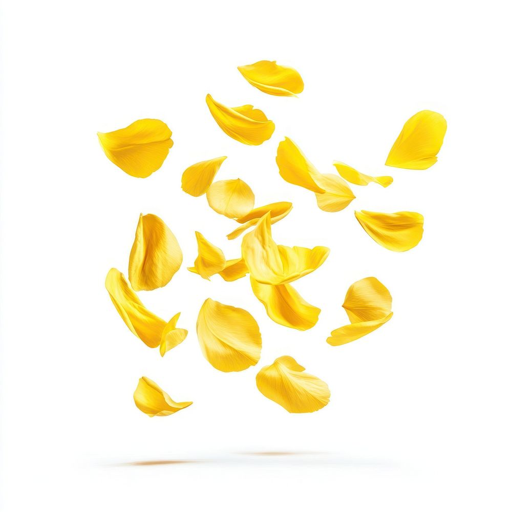 Yellow petals floating arrangement minimalist abstract.