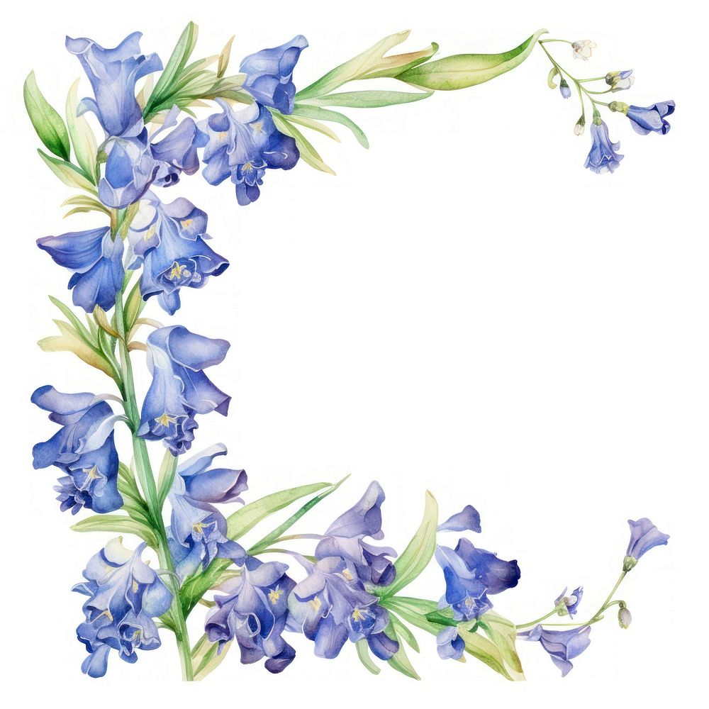 Bluebell flower corner frame flowers illustration watercolor.