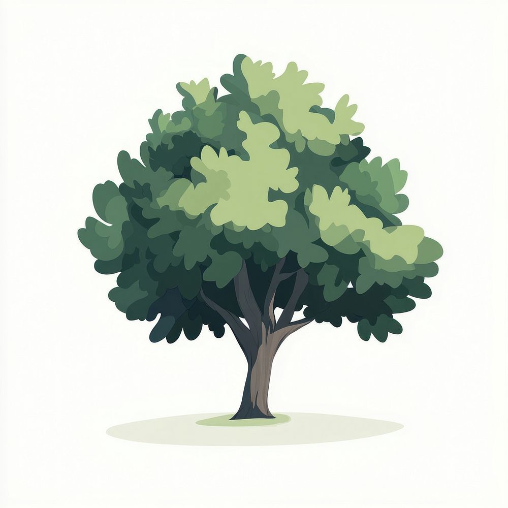 Oak tree art illustration oak.