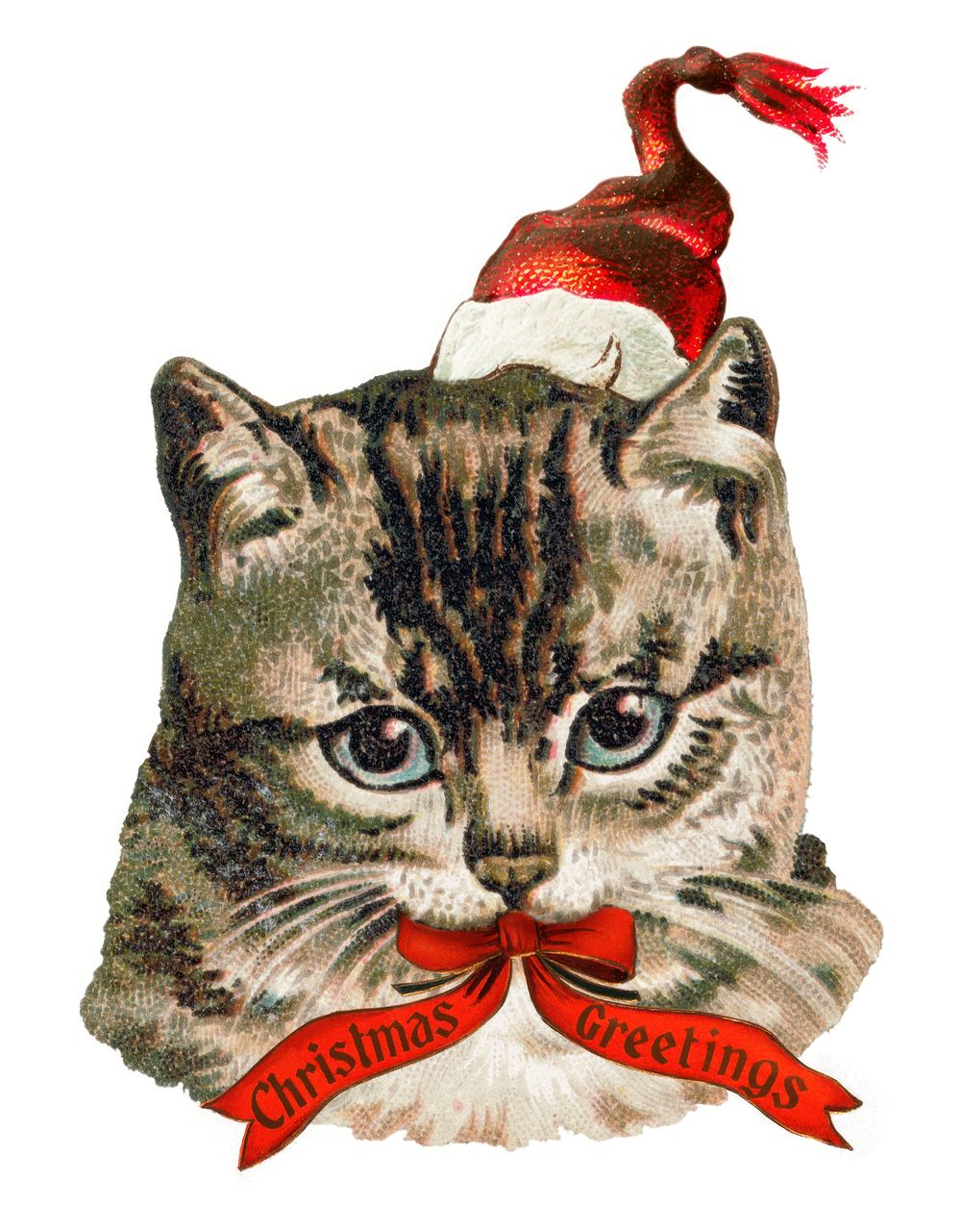 Vintage Christmas cat illustration with Santa hat. Festive cat with red bow, holiday greetings. Christmas cat art, Santa…