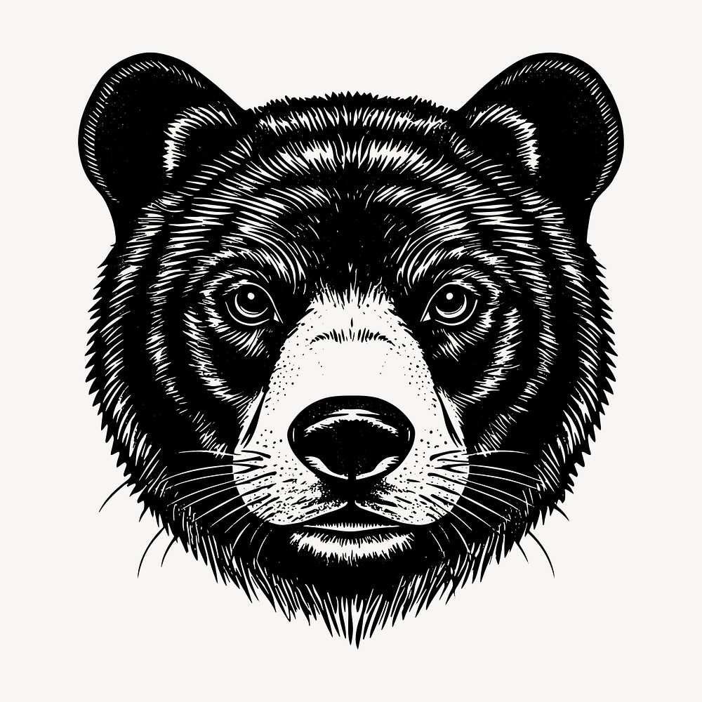 Intricate bear head illustration, old school tattoo vector