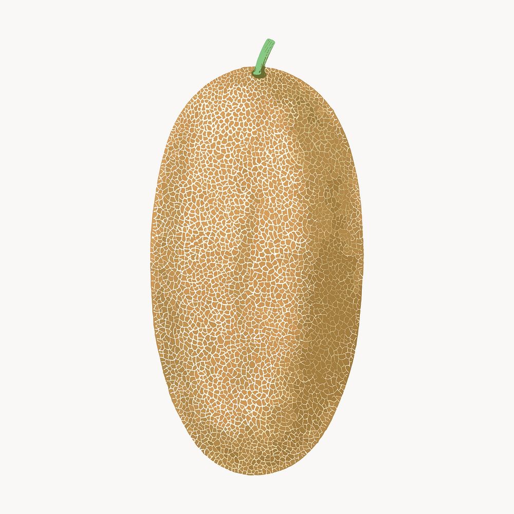 Illustrated cantaloupe melon design vector. Remixed by rawpixel.