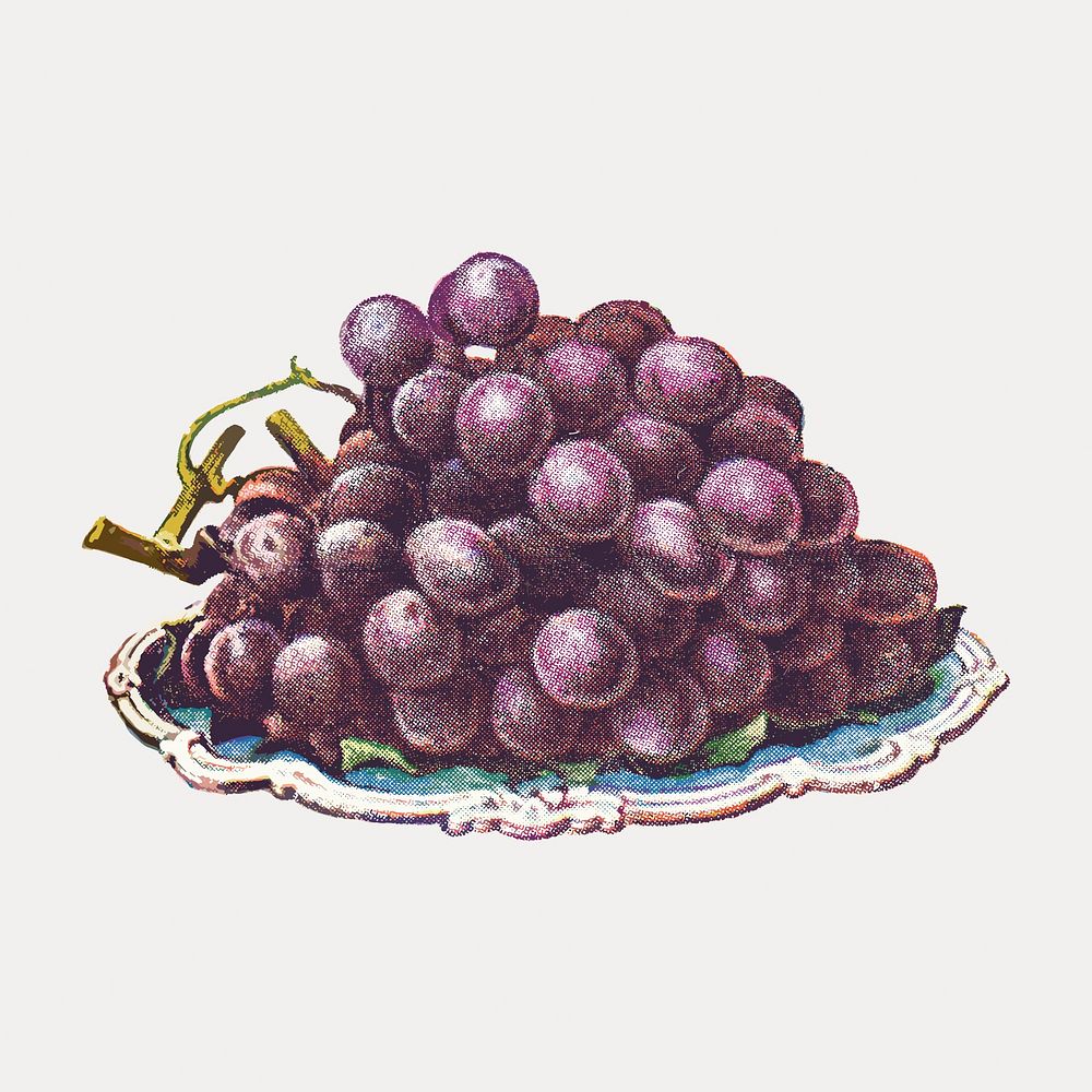 Vintage hand drawn black grapes design element vector. Remixed by rawpixel.