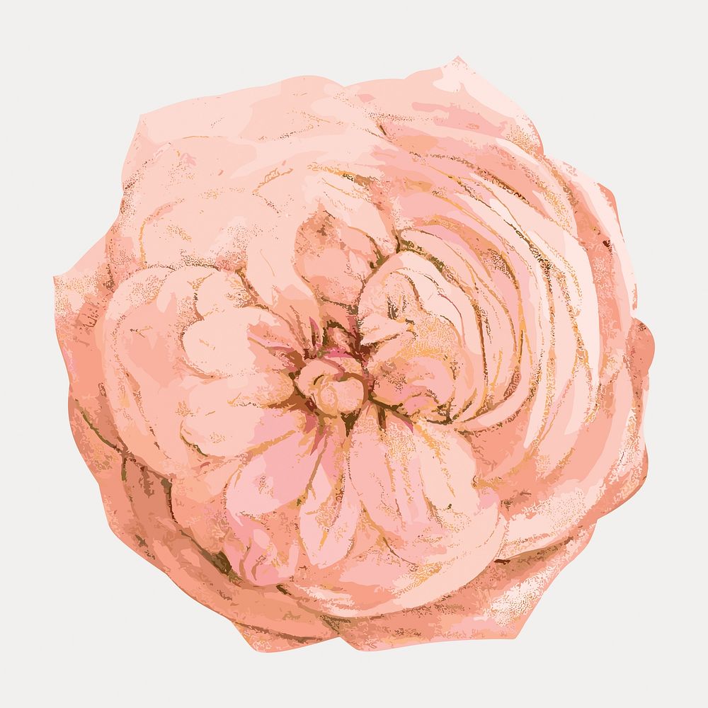 Pastel pink rose, French flower vintage illustration by François-Frédéric Grobon, isolated vector element. Remixed by…