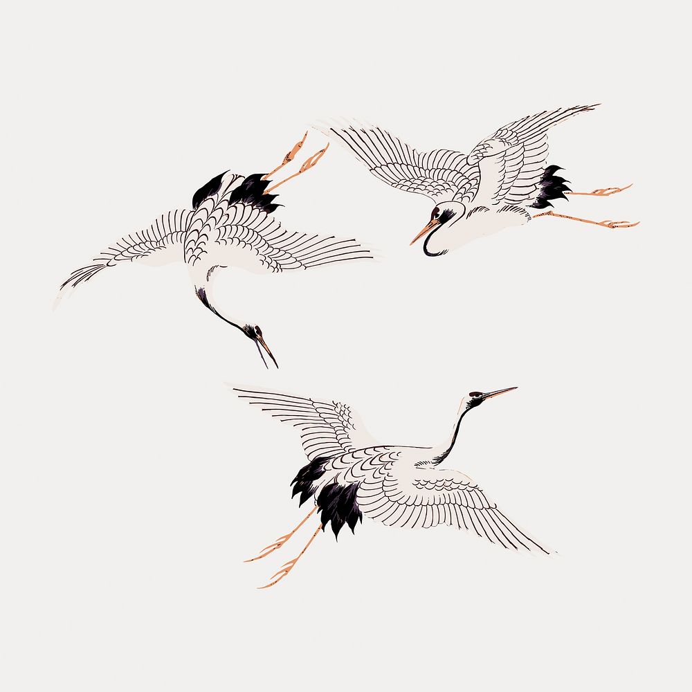 Flying crane birds vintage illustration, vintage vector element. Remixed by rawpixel.