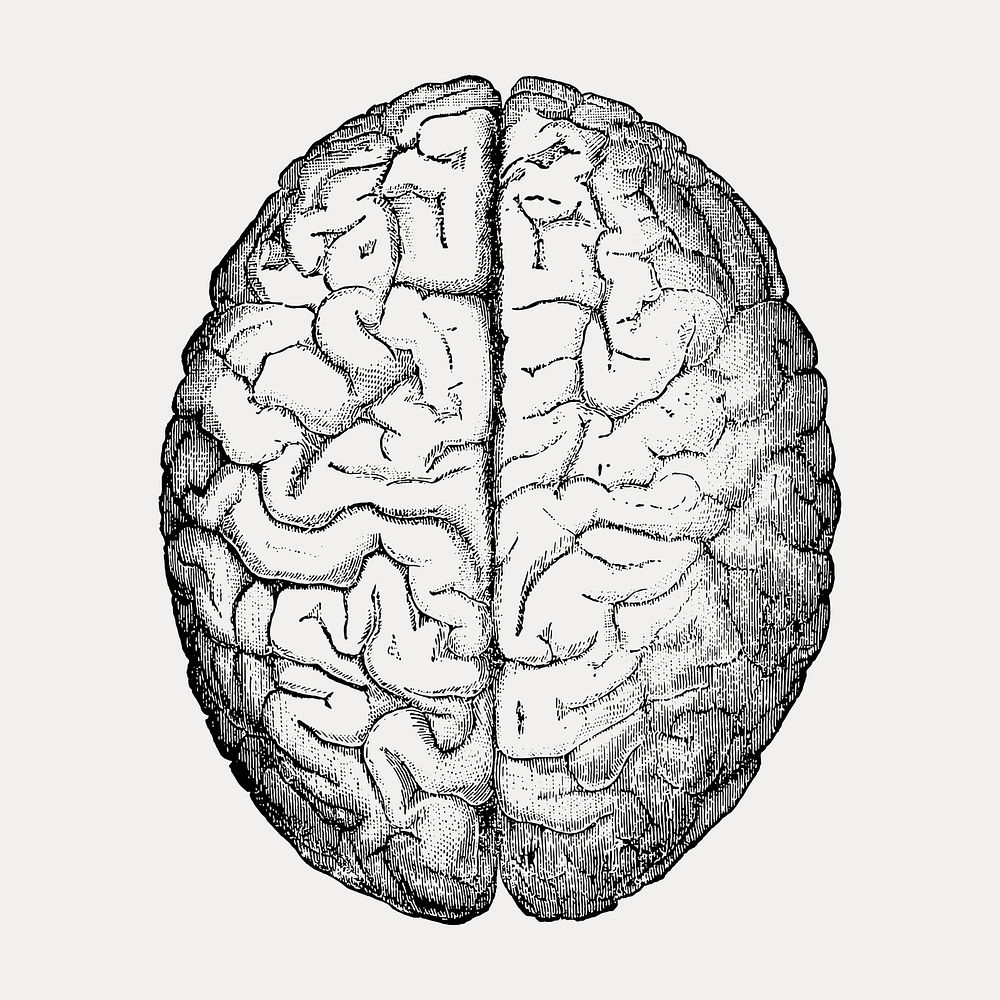 Brain, isolated vector element. Remixed by rawpixel.