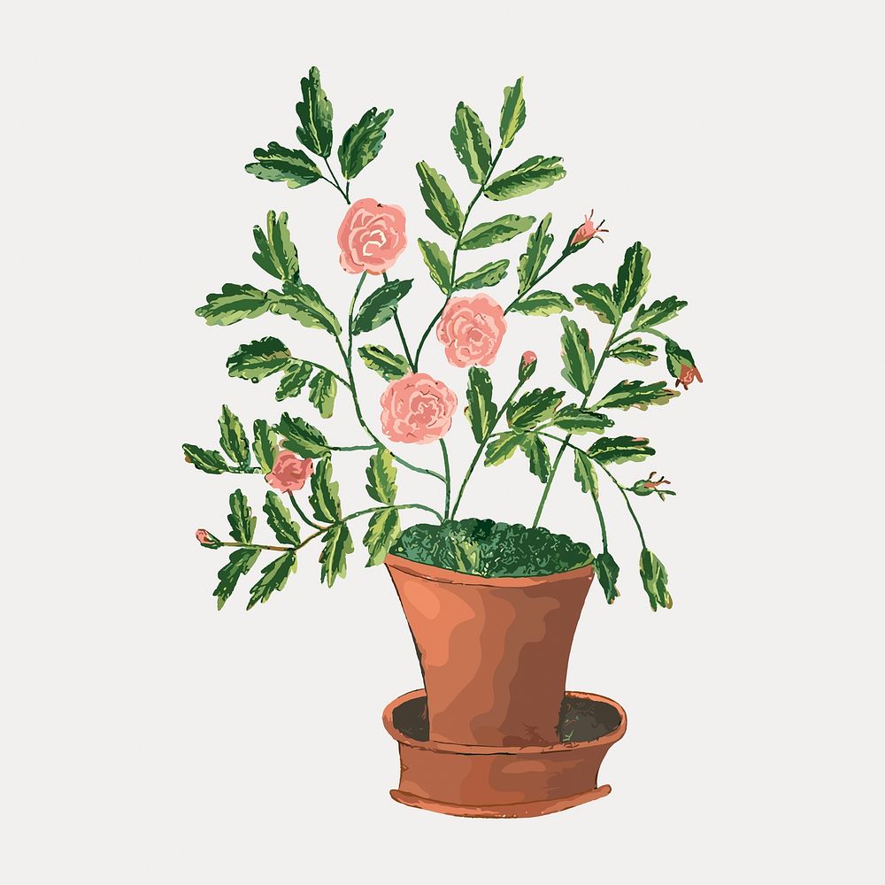 Potted rose flower, vintage botanical illustration by Sarah P. Wells, vector element. Remixed by rawpixel.