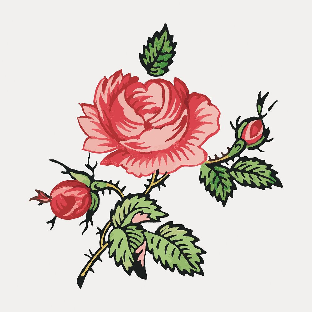 Red rose flower, vector element. Remixed by rawpixel.