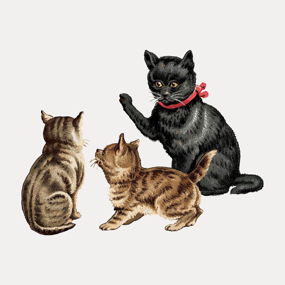 Vintage cats pet, vector element. Remixed by rawpixel.