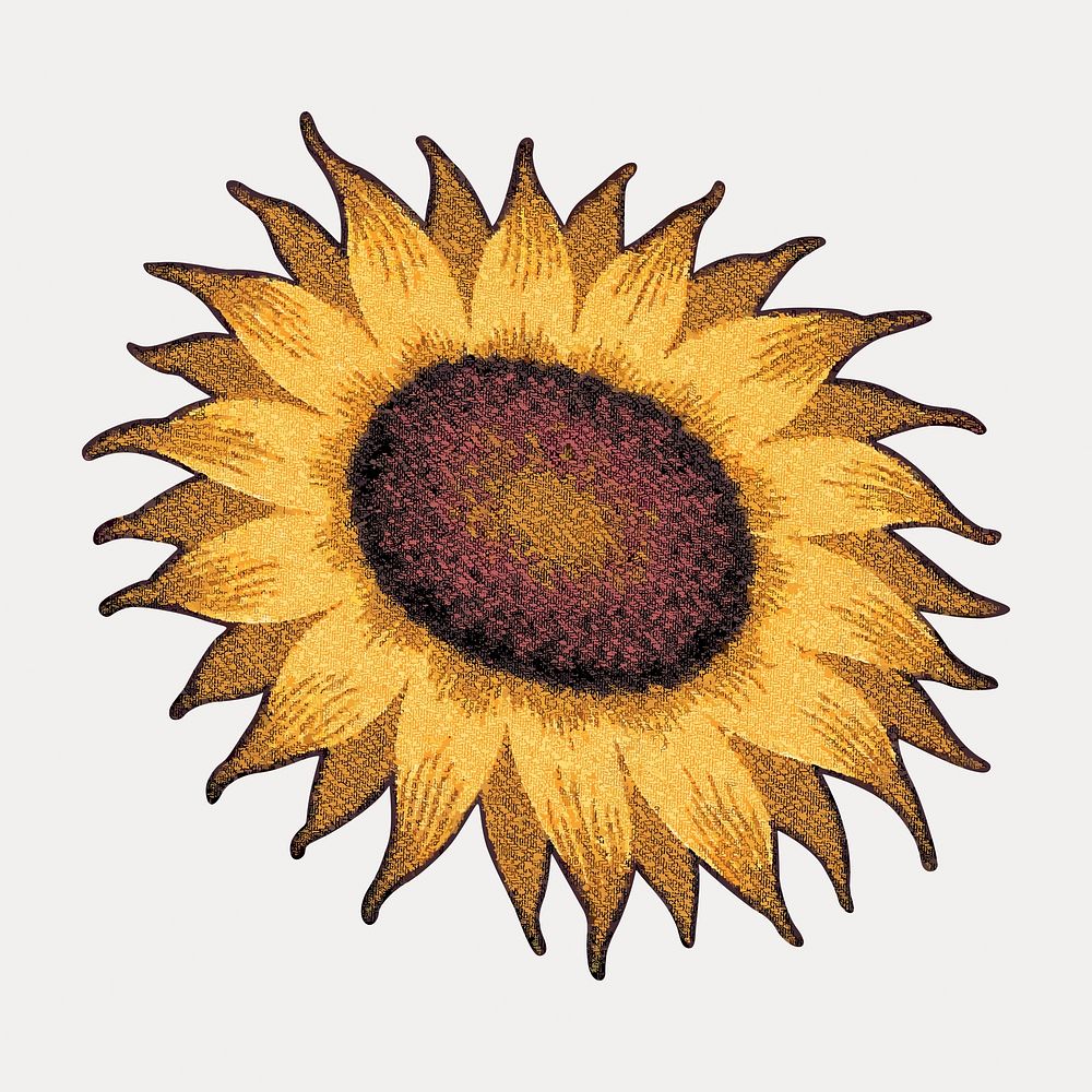 Sunflower sticker, vector element. Remixed by rawpixel.