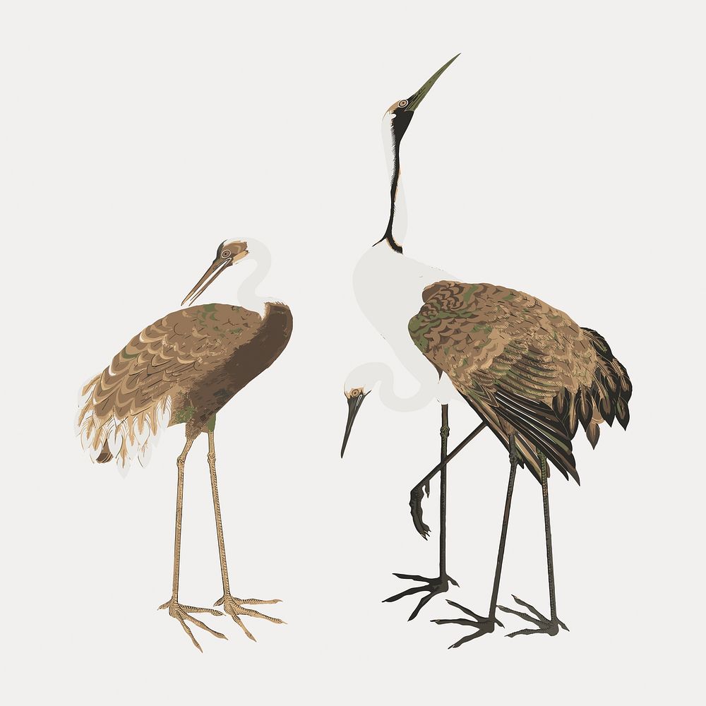 Japanese cranes, isolated vector element. Remixed by rawpixel.