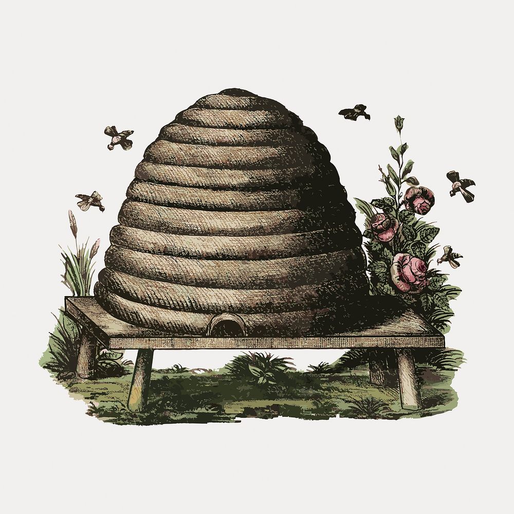 Vintage beehive illustration, isolated vector element. Remixed by rawpixel.