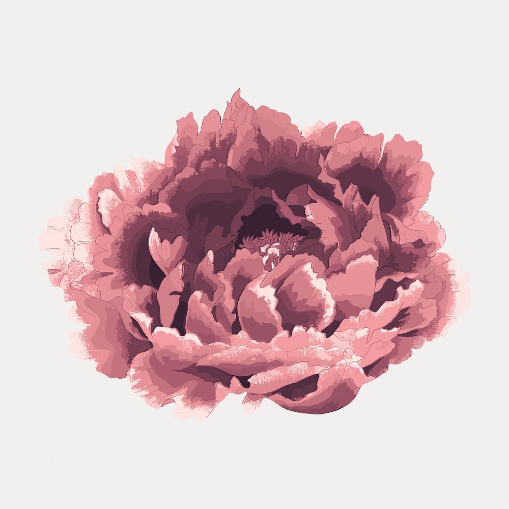 Peony sticker, aesthetic flower clipart, floral & botanical style, vector element. Remixed by rawpixel.