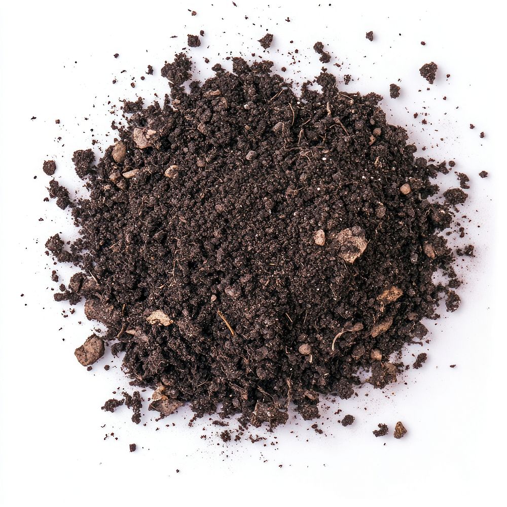 Soil with a died plant nutrient-rich gardening projects.