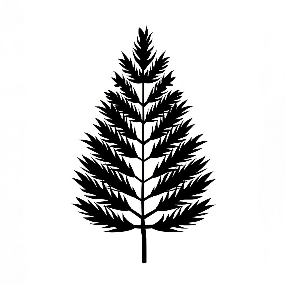 Pine Needle leaf silhouette illustration botanical.