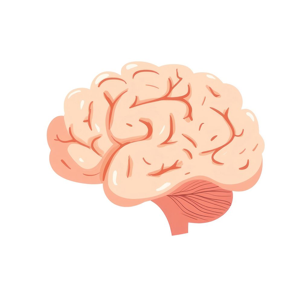 Human brain illustration vector educational.