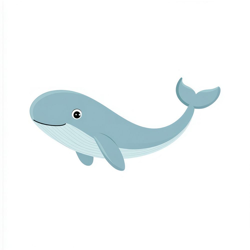 Blue whale illustration cartoon animal.