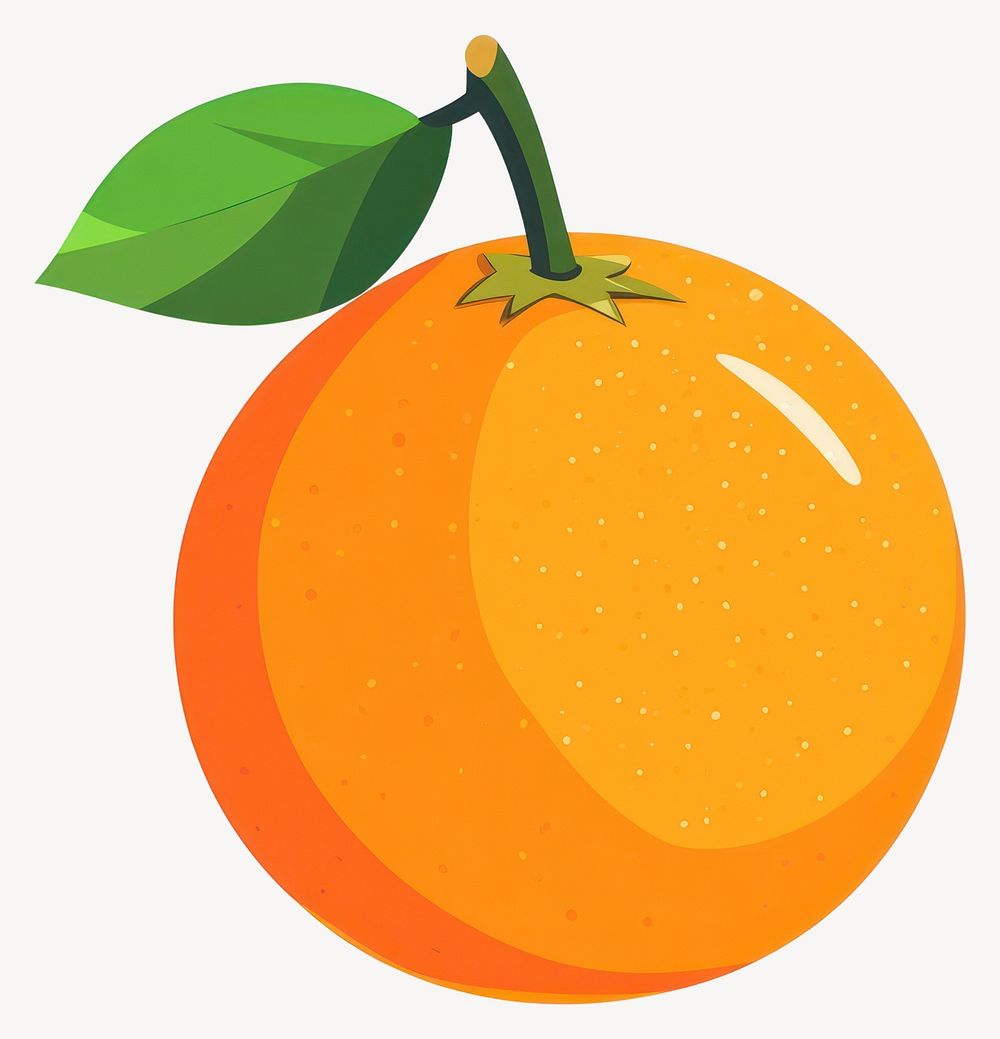 Orange illustration produce fruit vector