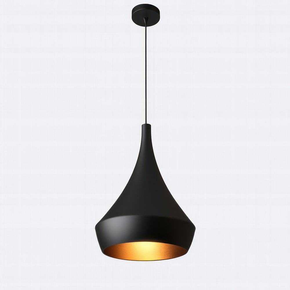 Modern ceiling lamp hanging black.