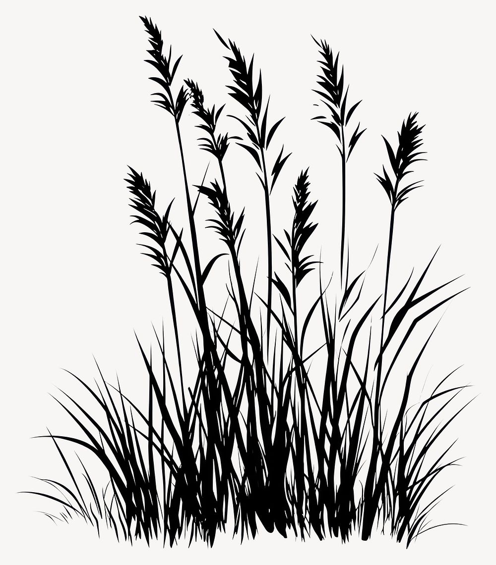 Silhouette grass illustration plant vector