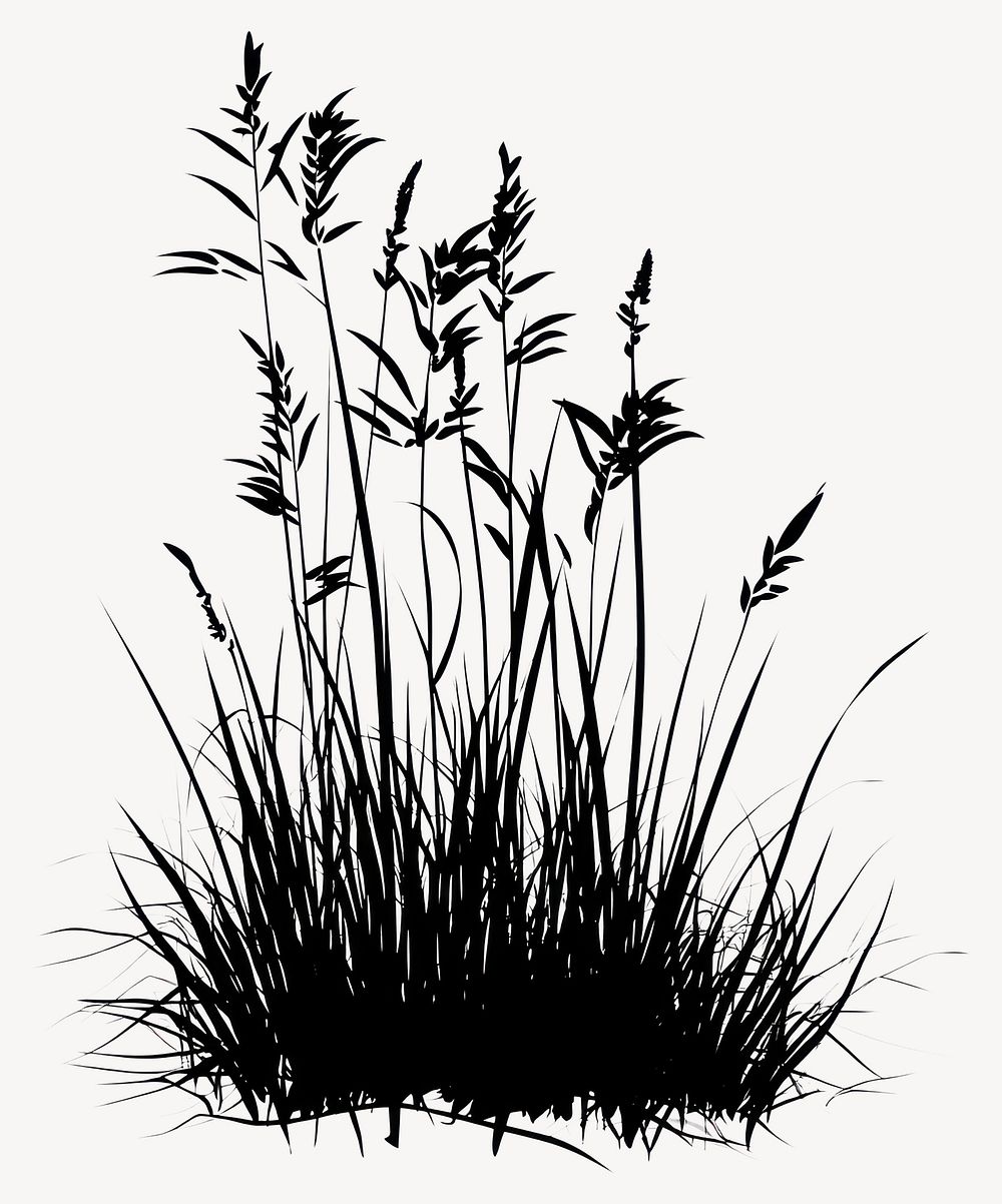 Silhouette grass illustration plant vector