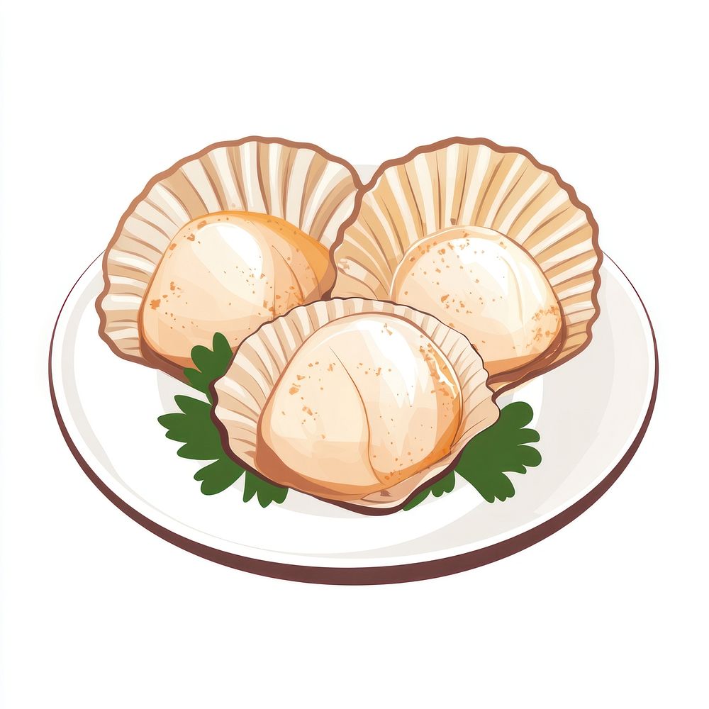 Seared Scallops illustration scallops seafood.