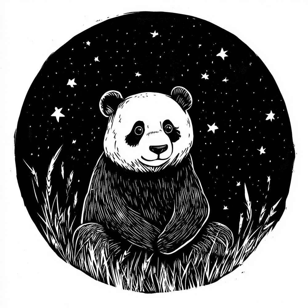 Panda animal panda night.