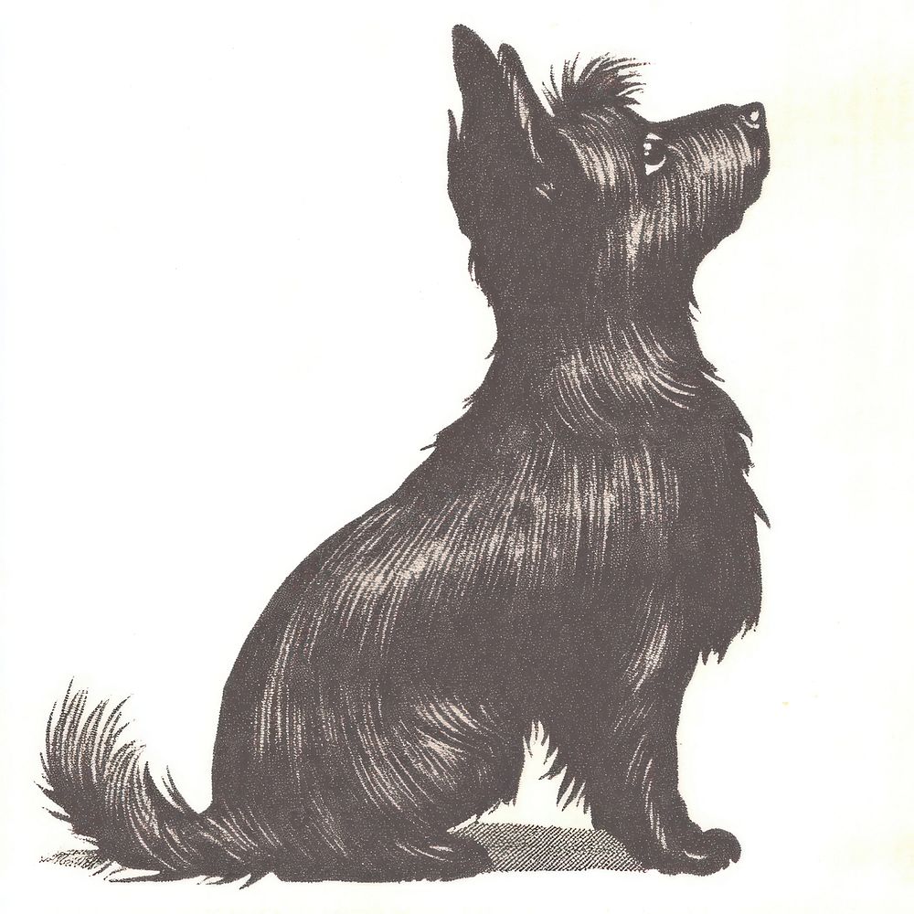 Dog illustration black style.