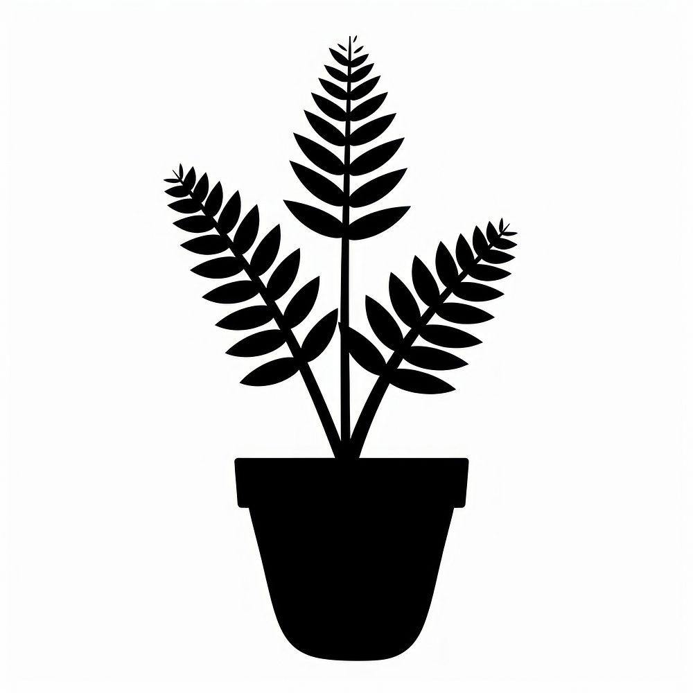 Plant potted with fern silhouette plant black.