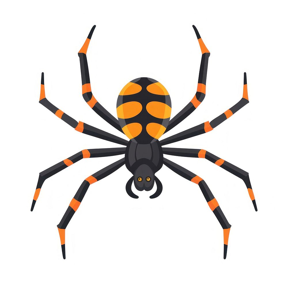 Spider illustration arachnid vector.