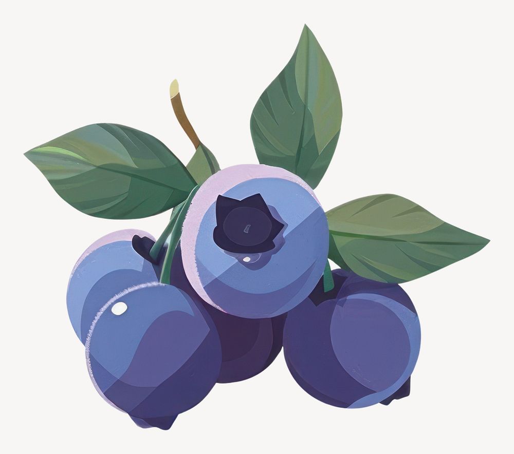 Blueberry illustration fruit art vector