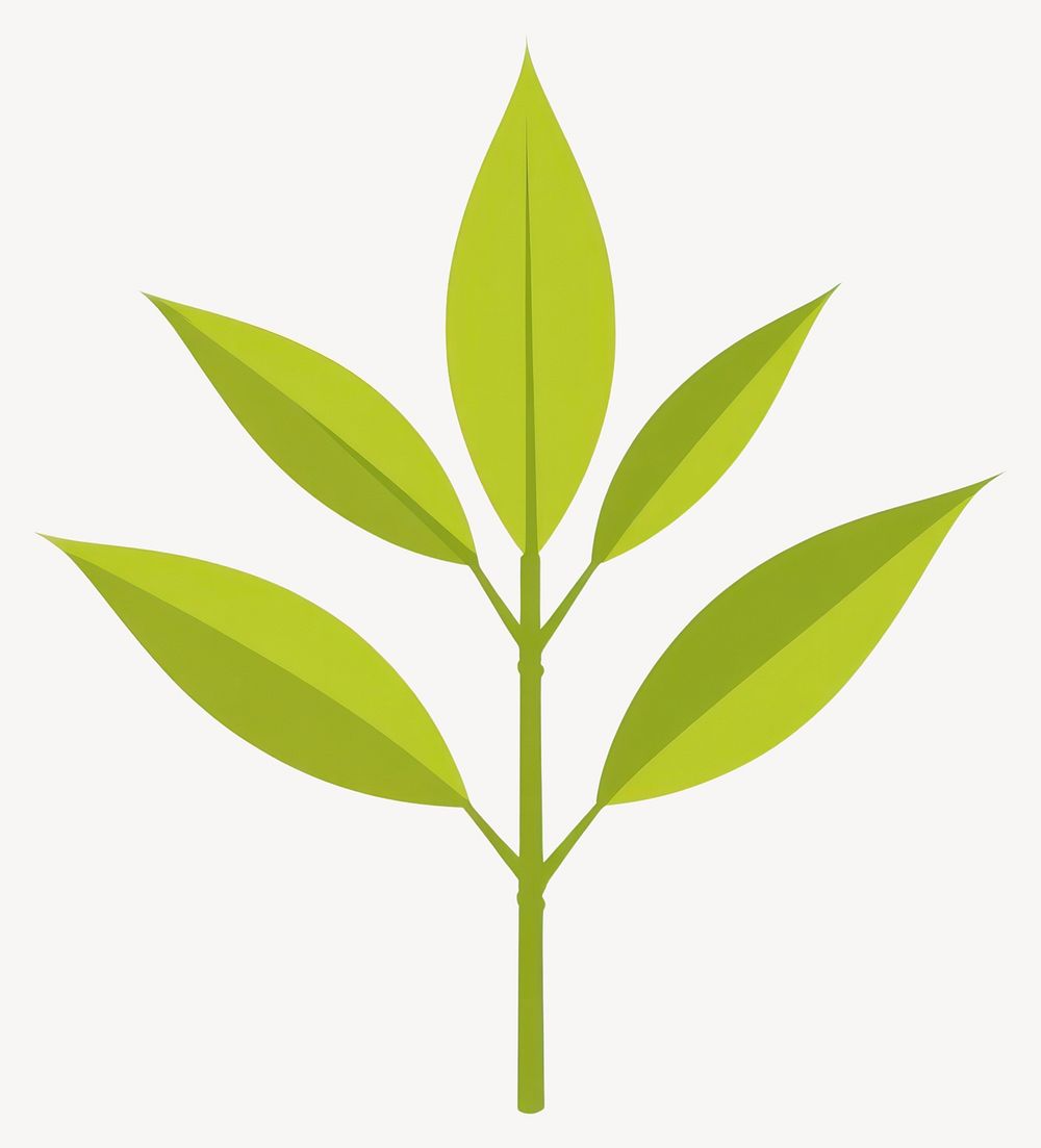 Green bamboo leaf illustration eco-friendly minimalist vector