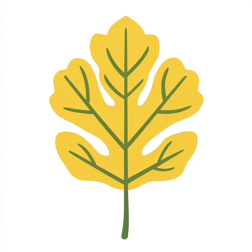 Yellow reniform leaf illustration autumn botanical.