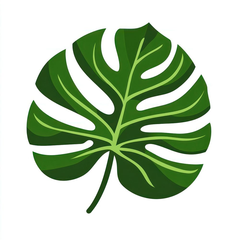 Green wavy big leaf illustration tropical botanical.