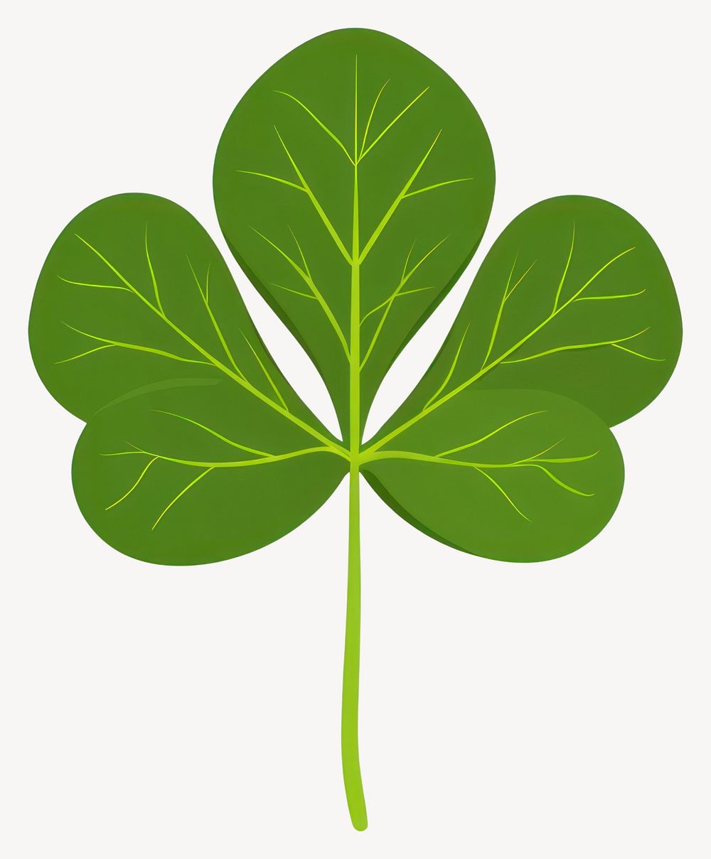 Green pennywort leaf illustration plant three-leaf vector