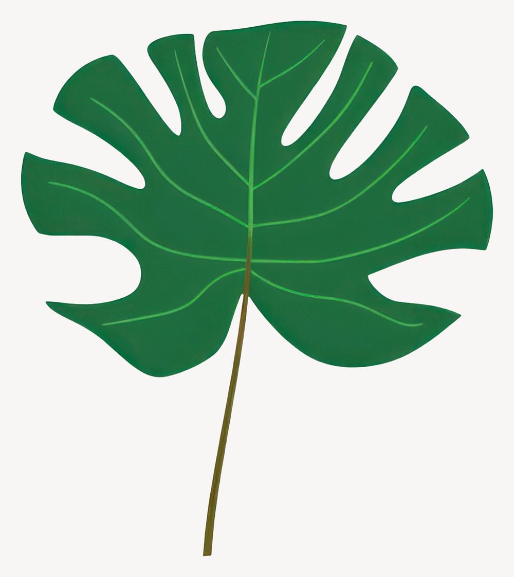 Tropical leaves plant leaf illustration vector