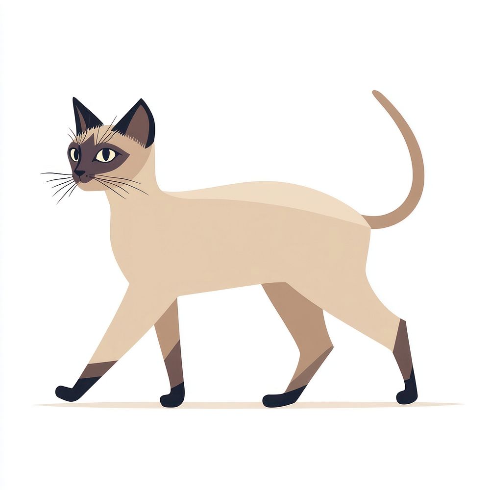 Siamese cat walking illustration animal vector.