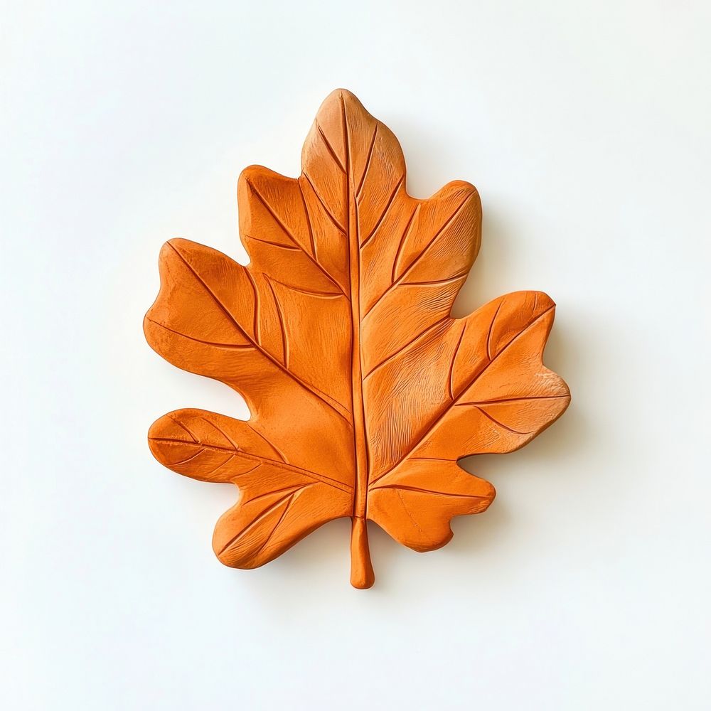 Orange Leaf leaf decoration vegetable.