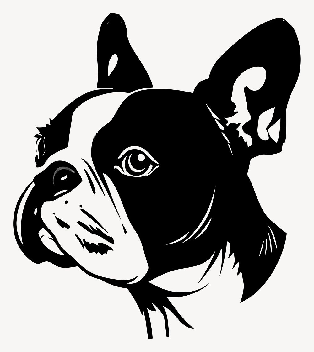 Collection portrait Boston Terrier dog animal illustration bulldog vector