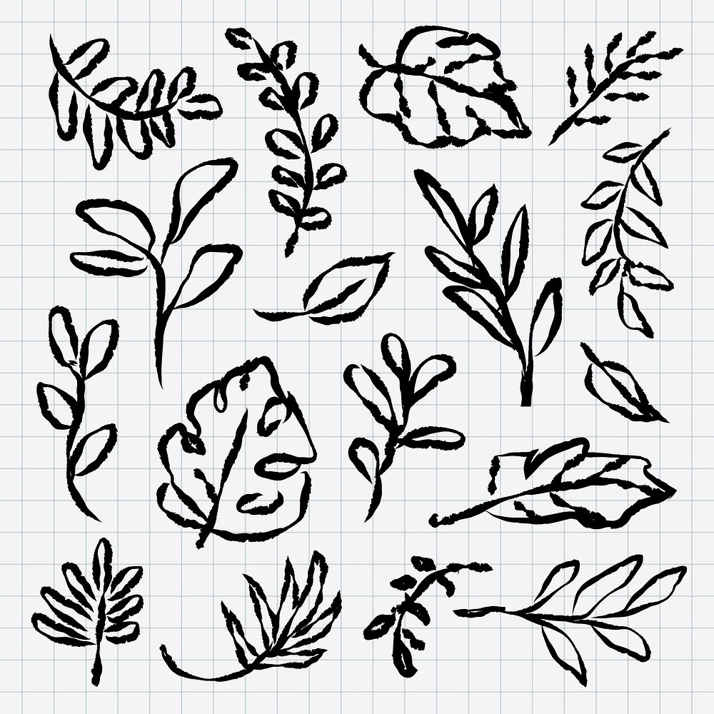 Hand-drawn leaves on grid paper. Sketchy leaf designs, various leaf shapes. Artistic leaf sketches, black ink on grid.…